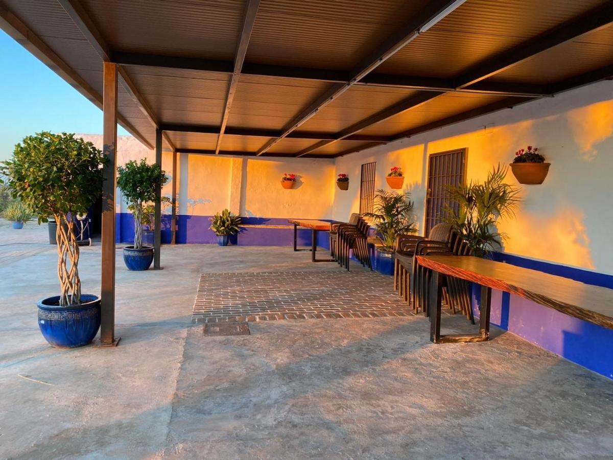 La Casa Del Olivo Écija Exterior foto